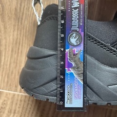 新品未使用　靴19cm ムーンスター　ニーモの画像