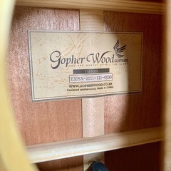 ミニギター Gopher wood guitars I SERIES i110SX  の画像