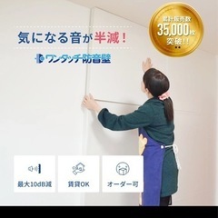 ワンタッチ防音壁 プロ 拭ける壁紙調クロス 9枚の画像