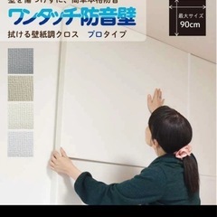 ワンタッチ防音壁 プロ 拭ける壁紙調クロス 9枚の画像