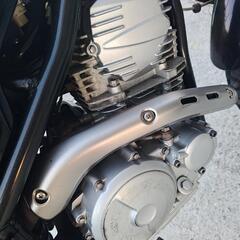 トリッカー250の画像