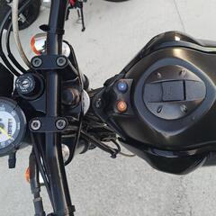 トリッカー250の画像