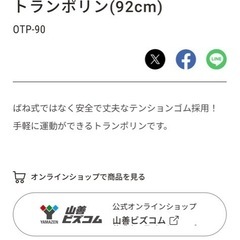 トランポリン
の画像