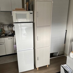 【6/30まで】白井産業 フルニコ キャビネット FUL-1845-3D カラーボックス ドア付き収納 の画像