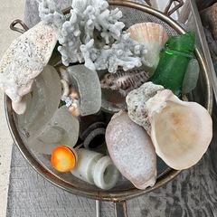 値引きしました。シーグラス、貝殻など…断捨離中の画像