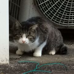 クリエイター仲間、ゲーム仲間を募集です！