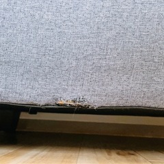 アイリスプラザ ソファの画像