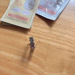 雑貨　iPhone15クリアケース　保湿クリーム　指リング　ネイルアートシール の画像