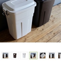 岩崎工業 ゴミ箱 30L 2個セットの画像