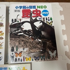 小学館の図鑑NEOの画像