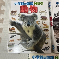 小学館の図鑑NEOの画像