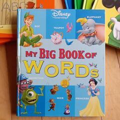 処分のため安くします！ディズニー英語システム（ジャンク品）の画像