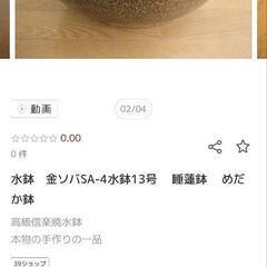 睡蓮鉢　メダカ鉢　13号　信楽焼の画像