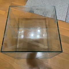最終値下げ水槽　キューブ型　30cmの画像