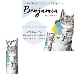 ヴァシリーサ パフュームスティック ベンジャミン練り香水（新品）の画像