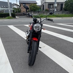 【美車・走行少ない・ローン可】Ducatiドゥカティ スクランブラー アイコン 800 テルミマフラー　YouTube動画有り 実働 車体の画像