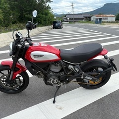 【美車・走行少ない・ローン可】Ducatiドゥカティ スクランブラー アイコン 800 テルミマフラー　YouTube動画有り 実働 車体の画像