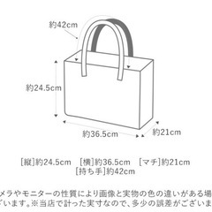 レジカゴ用バッグ 保冷 大容量 通販 レジかご用バッグ 折りたたみ 保冷バッグ おしゃれ エコバッグの画像
