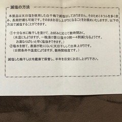【南高梅】減塩してない梅干しの画像