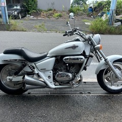 ホンダ　マグナ250 V-TWIN ローダウン　アメリカン　MC29の画像