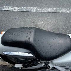 ホンダ　マグナ250 V-TWIN ローダウン　アメリカン　MC29の画像