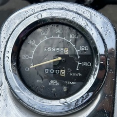 ホンダ　マグナ250 V-TWIN ローダウン　アメリカン　MC29の画像