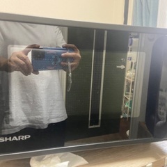 電子レンジ