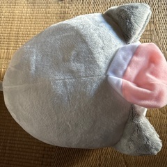 新品・未使用。　　ねむネコ　もちもちクッション　ぬいぐるみの画像