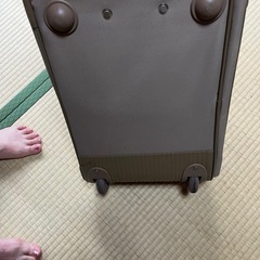 キャリーの画像