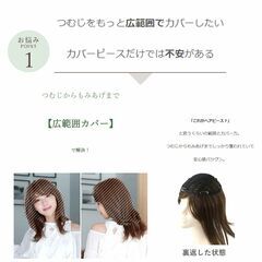 女性用部分ウィッグの画像