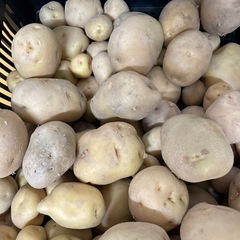 訳ありじゃがいもの画像