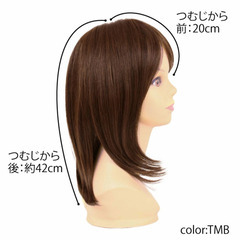 女性用部分ウィッグの画像