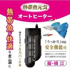未使用/熱帯魚元気オートヒーター80 GEXの画像