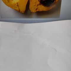 カニステル苗2本セットの画像
