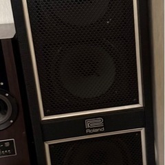 Roland 120S スピーカーペアの画像