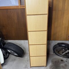 収納棚　ラック　整理棚5ドア　キャビネット　扉付き　仙台市内、仙台市内近郊配送可能の画像