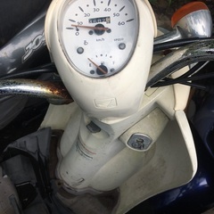 ホンダクレアスクーピーの画像