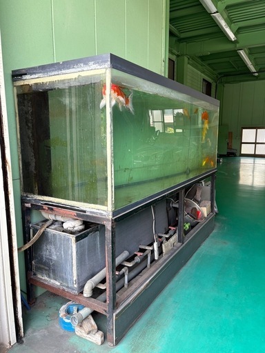 アクリル大型水槽