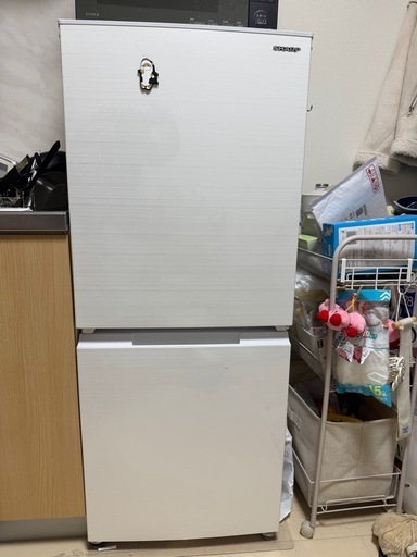 SHARP 冷蔵庫