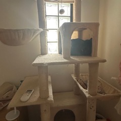 猫爬架