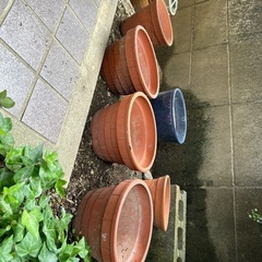 植木鉢