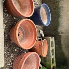 植木鉢の画像