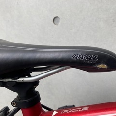 中古ジュニアバイク FUJIの画像