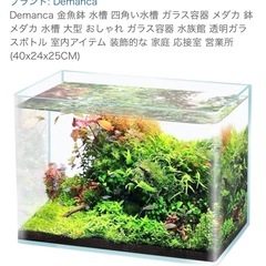✨新品未使用✨ 【ガラス水槽（40×24×25）】