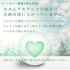 マットレスシングル腰痛対策の画像