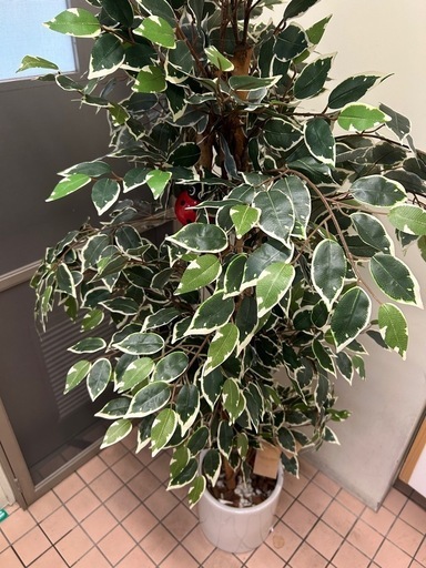 室内用　人工観葉植物　フェイクツリー