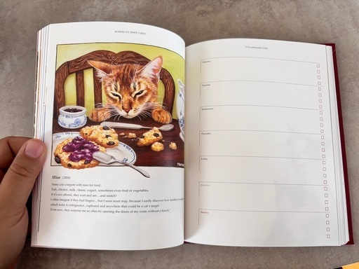 【新品❣️レア】猫の洋書風 ダイアリー 手帳