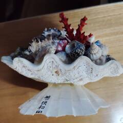 若狭和田の貝のオブジェですの画像