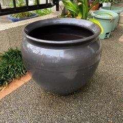 玄関のアクセントに。
