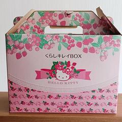 🌼限定キティちゃんデザイン🌼DUSKIN  くらしキレイBOX